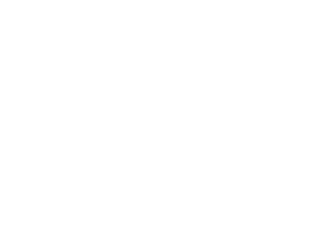 int-logo